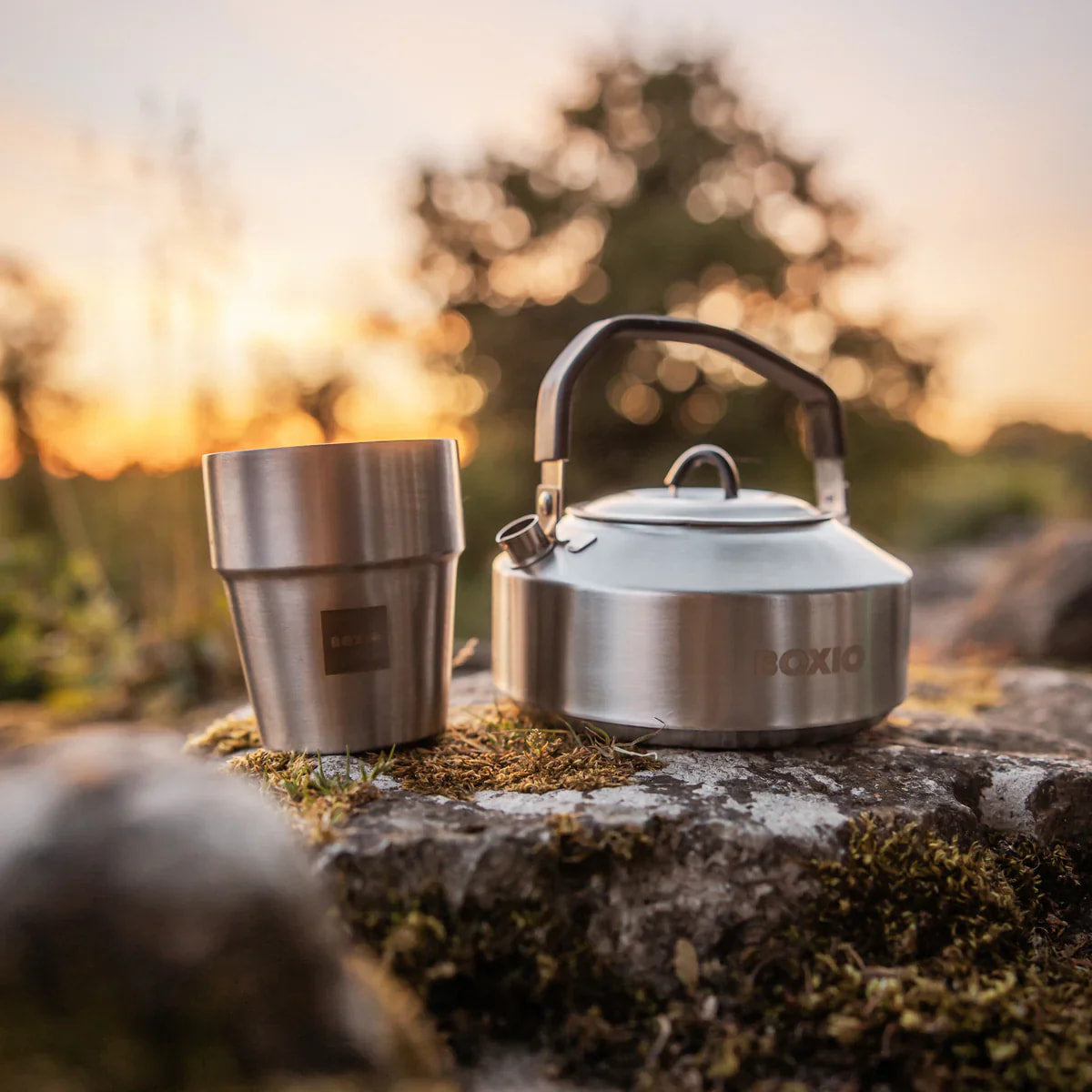 BOXIO COOK Max + Grill