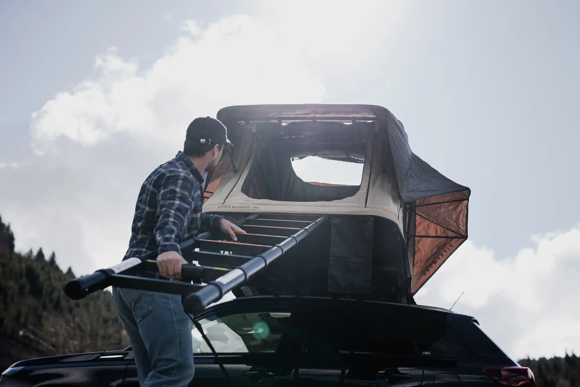 Vintage-Pickup-Truck mit einem beschädigten oder verschlechterten Dach.